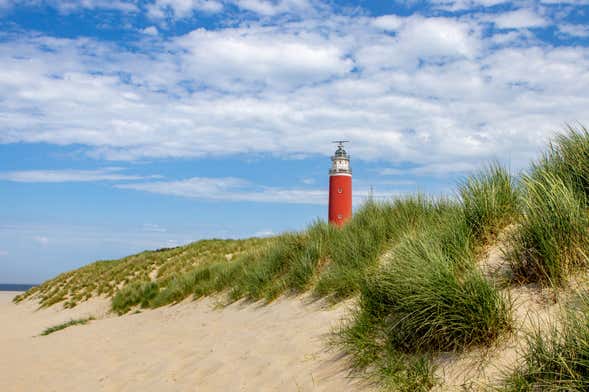 Excursion à l'île de Texel