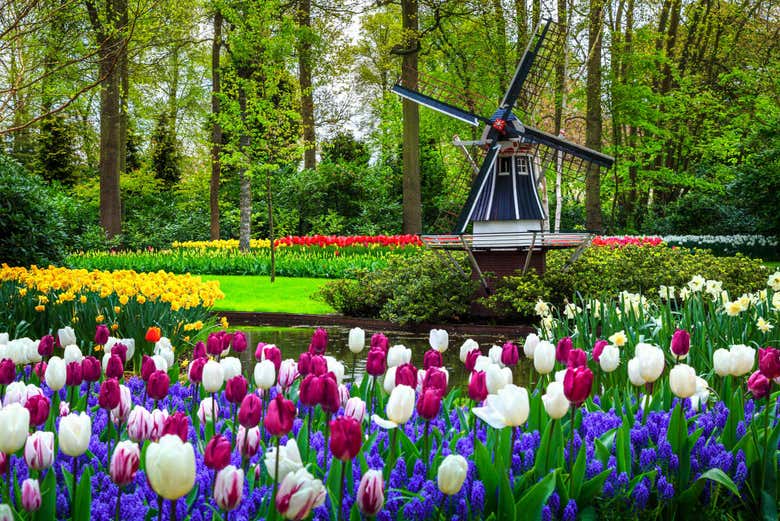 Vous pourrez admirer les magnifiques paysages de Keukenhof