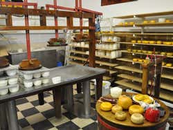 Usine à fromage près de Volendam