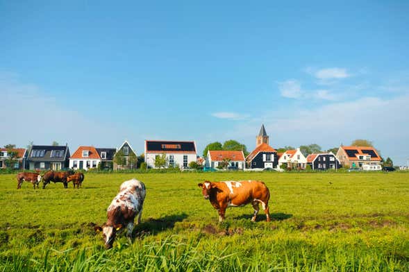 Balade à vélo dans la campagne hollandaise